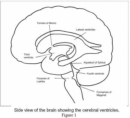 figure1