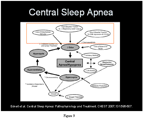 central sleep apnea diagram