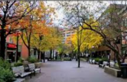 pedmall