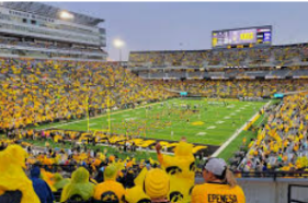 stadium
